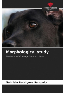 Morphological study