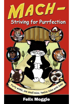 Mach - Striving for Purrfection