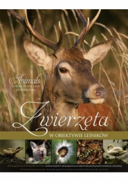 Zwierzęta w obiektywie leśników