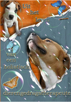 Uit het leven van een holistisch dierengedragstherapeute
