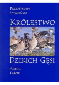 Królestwo Dzikich Gęsi