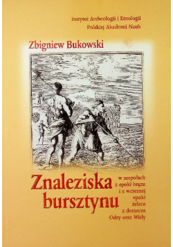 Znaleziska bursztynu