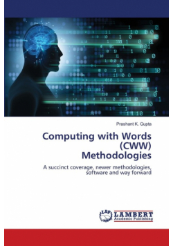 Computing with Words (CWW) Methodologies