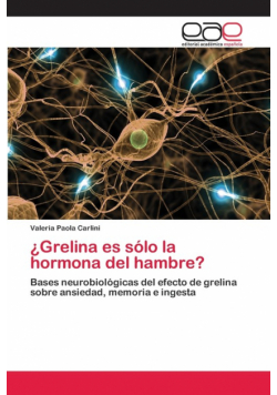 ¿Grelina es sólo la hormona del hambre?