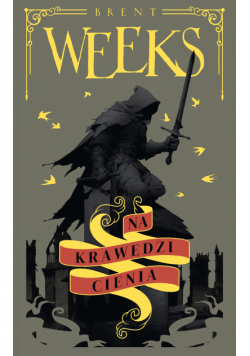 Na krawędzi Cienia. Trylogia Anioła Nocy. Tom 2