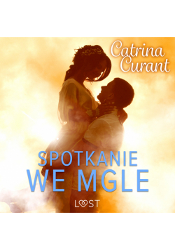 Spotkanie we mgle – opowiadanie erotyczne