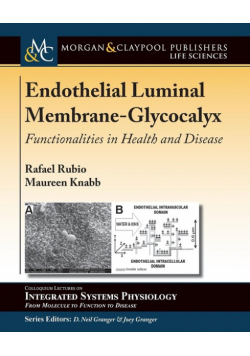 Endothelial Luminal Membrane-Glycocalyx