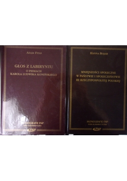 Głos z labiryntu/Mniejszości społeczne w państwie i społeczeństwie III Rzeczpospolitej Polskiej