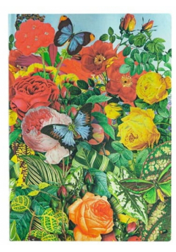 Notatnik Butterfly Garden midi linia FB6415-2