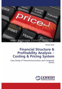 Financial Structure & Profitability Analysis -Costing & Pricing System
