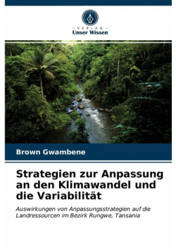 Strategien zur Anpassung an den Klimawandel und die Variabilität