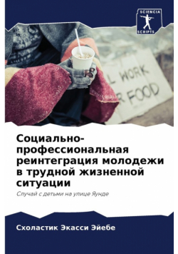 Социально-профессиональная реинтеграция молодежи в трудной жизненной ситуации