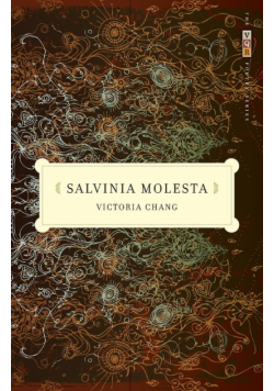Salvinia Molesta