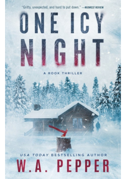 One Icy Night