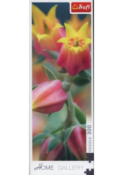 Puzzle Kwiaty w rozkwicie 300