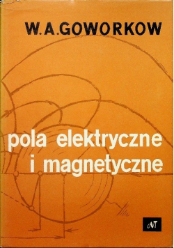 Pola elektryczne i magnetyczne