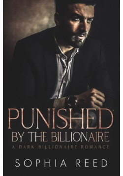 Punished by the Billionaire