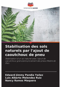 Stabilisation des sols naturels par l'ajout de caoutchouc de pneu