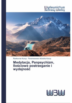 Medytacja, Panpsychizm, Ilościowe postrzeganie i wydajność