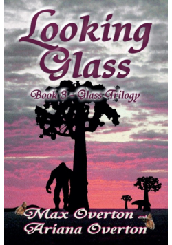 Looking Glass