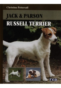 Jack & Parson Russell terrier