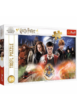 Puzzle 300 Tajemniczy Harry Potter