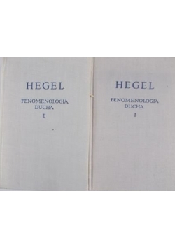 Fenomenologia ducha, I-II tom