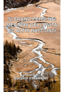 Si erano persi nei meandri della vita ed altri racconti