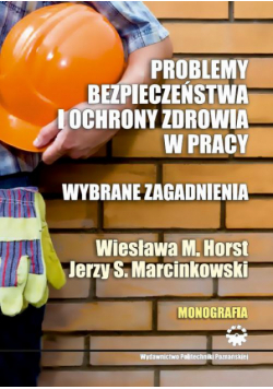 Problemy bezpieczeństwa i ochrony zdrowia w pracy. Wybrane zagadnienia