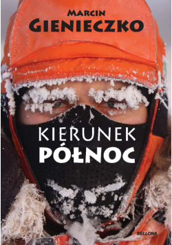Kierunek Północ