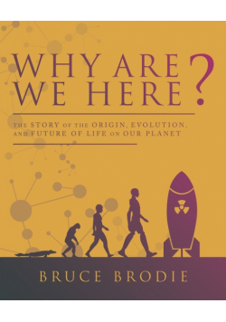 Why Are We Here?