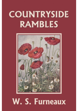 Countryside Rambles (Yesterday's Classics)