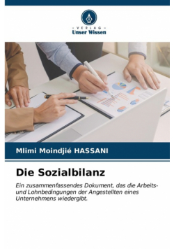 Die Sozialbilanz