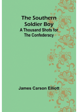 The Southern Soldier Boy