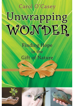 Unwrapping Wonder