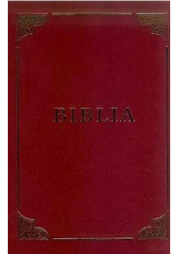 Pismo Święte Starego i Nowego Testamentu Biblia rodzinna