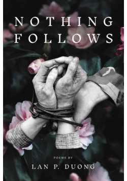 Nothing Follows