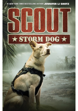Scout