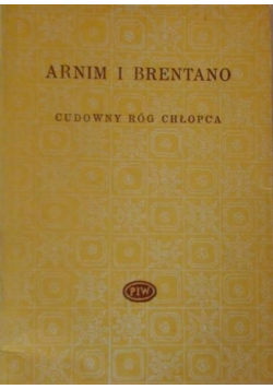 Cudowny róg chłopca