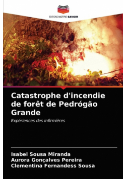Catastrophe d'incendie de forêt de Pedrógão Grande