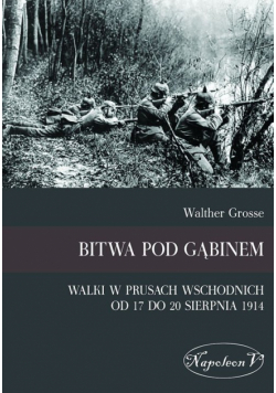 Bitwa pod Gąbinem