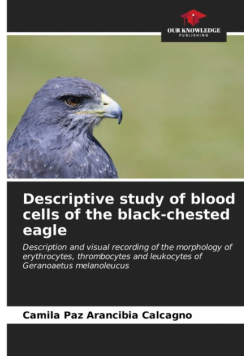 Descriptive study of blood cells of the black-chested eagle