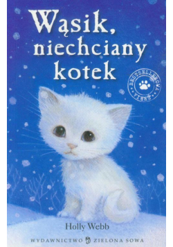 Wąsik niechciany kotek