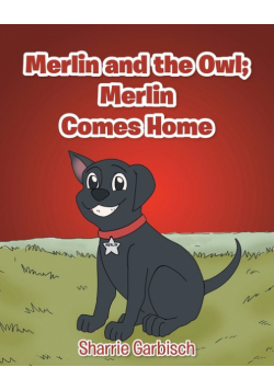 Merlin and the Owl