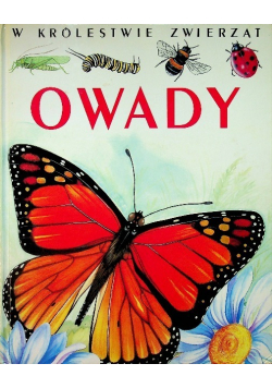 W królestwie zwierząt Owady