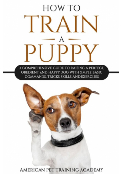 How To Train A Puppy