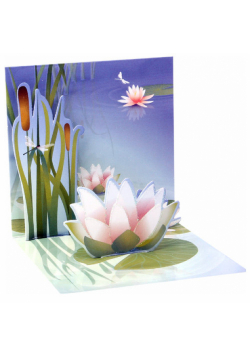 Kartki 3D Water Lily