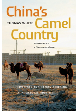 China's Camel Country