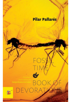Fossil Time and Book of Devorations