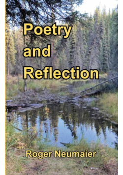 Poetry and Reflection